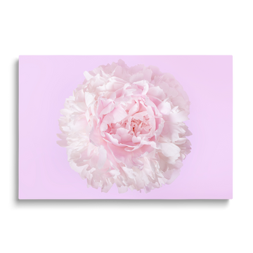 THE FLOWER